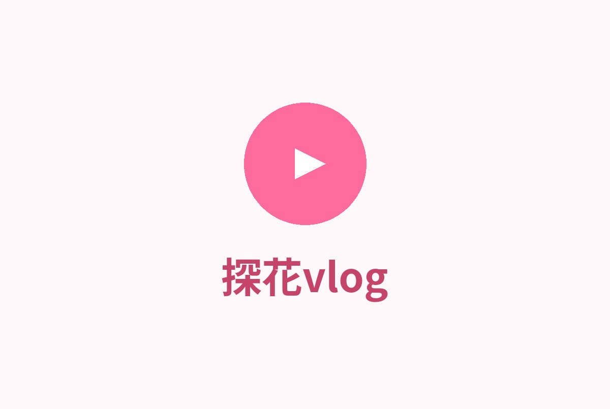 探花vlog